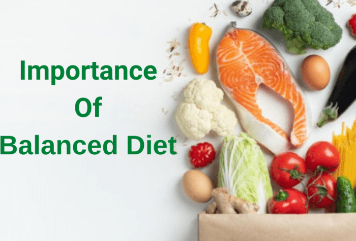 Importance of a balanced diet for overall health