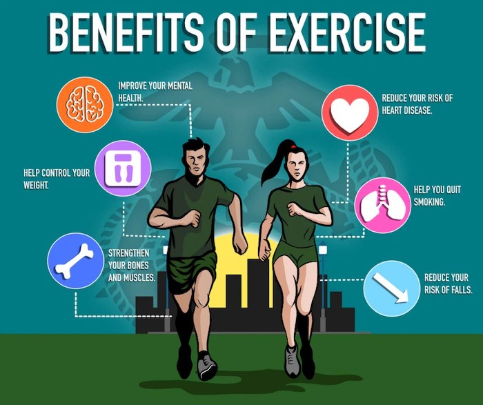 Exercise heart rate system increase nervous cardiovascular responses sympathetic adaptations ex interestingly begins anticipation due before unm edu The impact of regular exercise on heart health and longevity