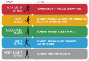 The impact of regular exercise on heart health and longevity