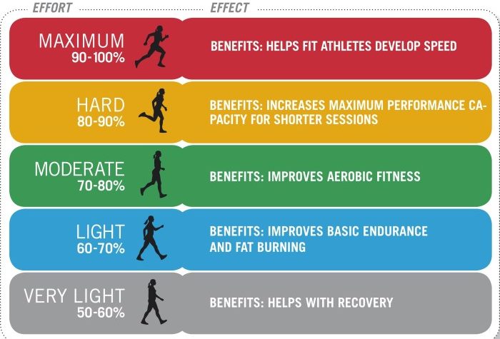 The impact of regular exercise on heart health and longevity