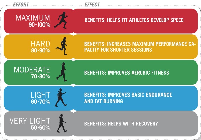 Rate heart target exercise fitness levels find infographic different medications The impact of regular exercise on heart health and longevity