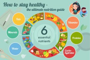 Importance of portion control in a balanced diet